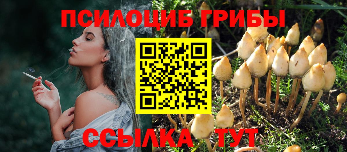 Отрадное  Псилоцибиновые грибы Cubensis  Вход с VPN  Галлюциногенные грибы прущие грибы 