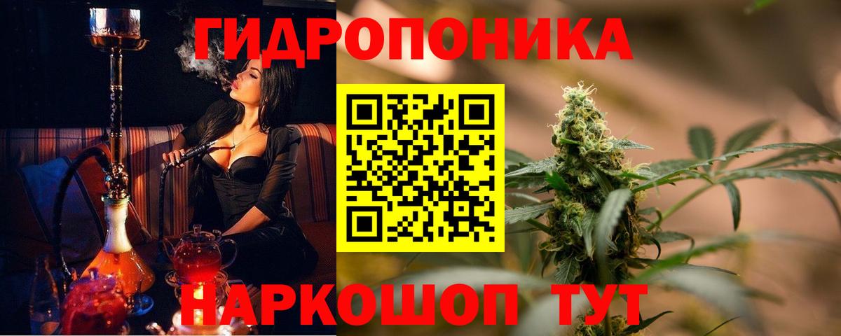 Бошки Шишки планчик  Шишки марихуана White Widow  Вход с VPN  Шишки марихуана VHQ  Отрадное 